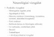 Neurológiai vizsgálatneurology.dote.hu/2017-2018/Net-Ea2-Neurol._vizsgalat.pdf · Nervus facialis A n. facialis motoros magja Corticopontin rostok mindkét oldalról (kétoldali