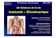 Anatomie – Biomécaniqueb.meric.free.fr/staps/Anatomie/L2S3/L2_CM1_Anatomie.pdf · 2008-03-14 · Anatomie descriptive : analyse des caractéristiques morphologiques des différents