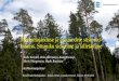 Metsamajanduse ja puittoodete CO2 bilanss. Süsiniku ...empl.ee/wp-content/uploads/2015/06/Metsamajanduse... · Eesti metsade pindala moodustab 0,055 % maailma metsade pindalast 