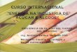 CURSO INTERNACIONAL ““ENERGIA NA INDENERGIA NA …nest.unifei.edu.br/portugues/pags/novidades/curso... · liquido y se desprenden en la superficie. B) Ebullición de superficie,