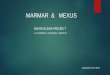 MARMAR & MEXUS - Mexus Gold USmexusgoldus.com/wp-content/uploads/Santa-Elena-Report-05082017.pdf · MARMAR & MEXUS OPERATIONS On 14 July a problem was detected in the Merrill Crowe