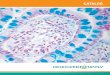 CATALOG - Newcomer SupplyWe have one of the largest selections of both histopathology and immunopathology control slides available. Also, we can accommodate special requests, such
