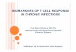 Biomarkers of T cell response Biomarkers.pdf · BIOMARKERS OF T CELL RESPONSE IN CHRONIC INFECTIONS Prof. Maria Nikolova, MD, DSc National Center of Infectious and Parasitic Diseases,