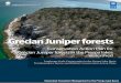 Grecian Juniper forests - Почетна Juniper Forests Conservation Action... Grecian juniper forests within the area of interest (15.48%). Certain areas of the Grecian juniper forests