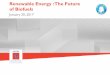 Renewable Energy : The Future of Biofuels 2017-01-18¢  Renewable Energy : The Future of Biofuels January