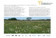 How to manage a meadow for hay making and …...How to manage a meadow for hay making and grazing pasture Traditionally, wildflower grasslands were managed either for making hay with