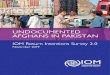 pakistan.iom.int · 2 Undocumented Afghans in Pakistan: IOM Return Intentions Survey 2.0 Undocumented Afghans in Pakistan: IOM Return Intentions Survey 2.0 © 2019 International 