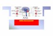 ANSsinoemedicalassociation.org/AP/ANS.pdf• The actions of the autonomic nervous system are largely involuntary (in contrast to those of the sensory‐ somatic system). It also differs