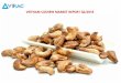 VIETNAM CASHEW MARKET REPORT Q2/2018 - VIRACviracresearch.com/.../uploads/...report-Q2.2018.pdf · Report Summary Cashew is mainly planted in India, Ivory Coast, Brazil and Vietnam