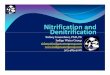 Nitrification and Denitrification - Indigo Water Group, LLC Classes/Nitrification and... · PDF file Nitrification yResidual or excessexcess alkalinity may be needed to maintain a