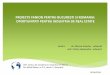 Proiecte fanion pentru Bucuresti si Romania: oportunitati ...business- · PDF file Se maturizeaza industria imobiliara, iesim din criza Momentul actual: iesirea din criza si maturizarea