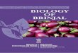Biology of Brinjal - indiaenvironmentportalindiaenvironmentportal.org.in/files/brinjal.pdf · Brinjal or eggplant (Solanum melongena L.) is an important solanaceous crop of sub-tropics