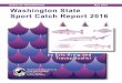 Washington State Sport Catch Report 2016The sport catch record card is used to produce the annual sport harvest estimates for salmon, steelhead, sturgeon, and halibut. Anglers holding