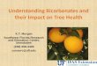 Understanding Bicarbonates and their Impact on Tree Healthcitrusagents.ifas.ufl.edu/events/GrowersInstitute2015/pdf/Morgan.pdf · Understanding Bicarbonates and their Impact on Tree