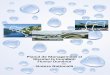 Planul de Management al Riscului la Inundaţii · Directivei Inundații la nivelul Dunării și întocmirea unui Plan de Management al Riscului la Inundații pentru întreg bazinul