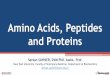 Amino Acids, Peptides and Proteins - biyokimya.vetbiyokimya.vet/documents/biyokimya/Amino_acids_Peptides_and_Proteins.pdf10 Hydrolysis of Proteins Amino acids are briefly indicated