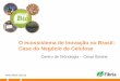 O ecossistema de Inovação no Brasil: Case do …...O ecossistema de Inovação no Brasil: Case do Negócio de Celulose Centro de Tecnologia – Cesar Bonine 2 QUEM SOMOS Somos uma