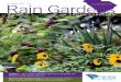 a guide to Rain Gardens - Clemson University · 2020-02-04 · carolina clear rain garden manual 2 rain gardensa guide to learn all about rain gardens and their potential to protect