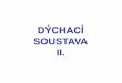 DÝCHACÍ - Univerzita Karlovaanatomie.lf2.cuni.cz/files/page/files/2017/dychani2.pdf · 2017-01-12 · Koniotomie (koniopunkce) rychlý zásah v terénu (opouštěn) transverzální
