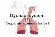 Dýchací systém - Masaryk University · PDF file 2015-10-29 · Funkce laryngu: respirace tvorba hlasu: • plicae vocales se napínají a přikládají k sobě • Rima glottidis
