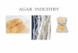 AGAR INDUDTRYProduct Selection Guide 2 KIMICA ALGIN (SODIUM ALGINATE) FOOD Thickening, Stabilizing, Gelling (Ice cream, Filling, Topping, Fruit jelly, nion ring, Antificial fish egg)