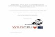 Report on Lion Conservation - WildCRU Report on Lion Conservation ... A.3 If trophy hunting is permissible