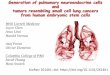 Generation of pulmonary neuroendocrine cells and tumors ... · Generation of pulmonary neuroendocrine cells and tumors resembling small cell lung cancers from human embryonic stem