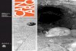 CANARIAS ARQUEOLÓGICA arqueología / …...CANARIAS ARQUEOLÓGICA arqueología / bioantropología Segunda época / Año II / Volumen 16 Sumario Sobre la Hª Antigua de Canarias. A