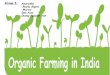 Group 3: Anuradha Rucku Gupta Marvis Dan Xiao Duong Nguyen … · Growth regulators . India Organic Logo . Present status of Organic ... textiles registering a 7.73% growth APEDA
