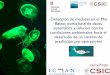 Detección de medusas en el Mar Balear, nueva base de ... · Detección de medusas en el Mar Balear, nueva base de datos sistemática y relación con las condiciones ambientales:
