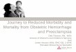 Journey to Reduced Morbidity and Mortality from Obstetric ... · and Preeclampsia Deb Thorson, RN, MSN Director of Women's and Children's Services . And . Jamie Vincent, MSN, RNC