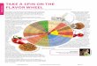TAKE A SPIN ON THE FLAVOR WHEEL - Blommer Chocolate …TAKE A SPIN ON THE FLAVOR WHEEL Rose Potts The Blommer Chocolate Company East Greenville, Pennsylvania Chocolate is one of the