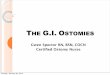 THE G.I. OSTOMIES · 2019-10-25 · DEFINITIONS: Ostomy-(“Os” means mouth or opening +“tomy” means surgical cutting). An ostomy is a surgically creating opening. The ostomy