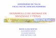 DESARROLLO DE AROMAS EN MANZANAS Y PERASpomaceas.utalca.cl/wp-content/uploads/2016/07/DESARROLLO...10,43 2-metil butanoato de hexilo Manzana, uva de mesa Químico, solvente, perfume