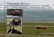 Brown Bear: Identifying males and females in the fieldbrown bear and determine its sex and/or age. Test your skills at identifying males, females, and subadult brown bears by taking