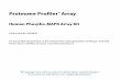 Proteome Profiler Human Phospho-MAPK Array KitHuman Phospho-MAPK Array Kit Proteome Profiler TM Array This package insert must be read in its entirety before using this product. For
