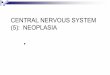 CENTRAL NERVOUS SYSTEM (5): NEOPLASIACNS Tumors tend to follow epidemiologic and anatomic patterns . most likely in children! aka dural tumors. similar to tumors of the peripheral