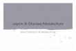Leptin Glucose Metabolism - UC San Diego Social Sciencespages.ucsd.edu/~mboyle/COGS163/pdf-files/05-S15-Leptin and Glucose Metabolism.pdf–inhibits hepatic gluconeogenesis –Enhances