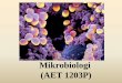 Mikrobiologi (AET 1203P) Klasifikasi b. Taksonomi Poliphasic (Identifikasi dan deskripsi bakteri) Bentuk