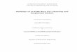 Redesign of an FSAE Race Car’s Steering and Suspension System · Redesign of an FSAE Race Car’s Steering and Suspension System. A dissertation submitted by . Jock Allen Farrington