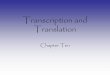 Transcription and Translation - Semantic Scholar...signals transcription start site • Transcription Factors = proteins that attract the RNA polymerase and regulate • RNA Polymerase