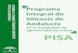 Programa Integral de Silicosis de Andalucía · Conde Sánchez, Miguel Angel ... sino también con todos los interlocutores implicados en este problema de salud pública. El presente