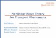 Nonlinear Wave Theory for Transport Phenomena · Unified hyperbolic model for fluids and solids First order Hyperbolic model (genuinely wave theory) Can describe fluids and solids