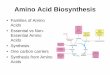 Amino Acid Biosynthesis - WOU guralnl/gural/451Amino Acid Biosynthesis.pdf Amino Acid Biosynthesis • Families of Amino Acids • Essential vs Non-Essential Amino Acids • Synthesis