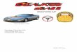 Official Newsletter of the Ozaukee Corvette ClubGray Metallic color. Prior cars I've owned are a 69 Corvette,a 72 Nova,stroker 383 and an '83 Camaro Z28-454. Barb and I plan on using