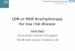 LDR or HDR Brachytherapy for low risk disease · 2018-04-19 · LDR or HDR Brachytherapy for low risk disease Amit Bahl Consultant Clinical Oncologist The Bristol Cancer Institute,
