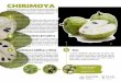 CHIRIMOYA · 2019-10-14 · CHIRIMOYA El fruto está recubierto por una delgada corteza sobre la cual se observan unas huellas en forma de U. Su interior es blanco, de textura cremosa,