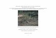 BEFORE THE SECRETARY OF THE INTERIOR PETITION TO LIST … · 2016-03-19 · 1 before the secretary of the interior petition to list the eastern diamondback rattlesnake (crotalus adamanteus)