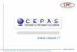 Presentazione CEPAS, ogni riproduzione deve essere ... · UNI CEI EN ISO/IEC 17024:2012 Giancarlo Colferai – Presidente Cepas, IPC Chairman . 3 Presentazione CEPAS, ogni riproduzione