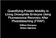 Quantifying Protein Mobility in Living Drosophila Embryos ...rpdata.caltech.edu/courses/PBL/images_DrosophilaFRAP/Presentation_FRAP... · FRAP experiments – NLS fluorescence returns
